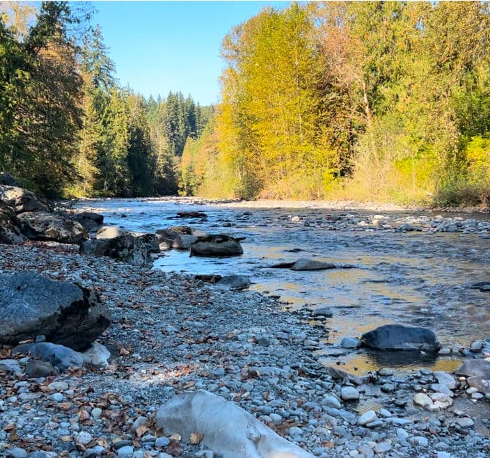 Journeyman NW - Image 1