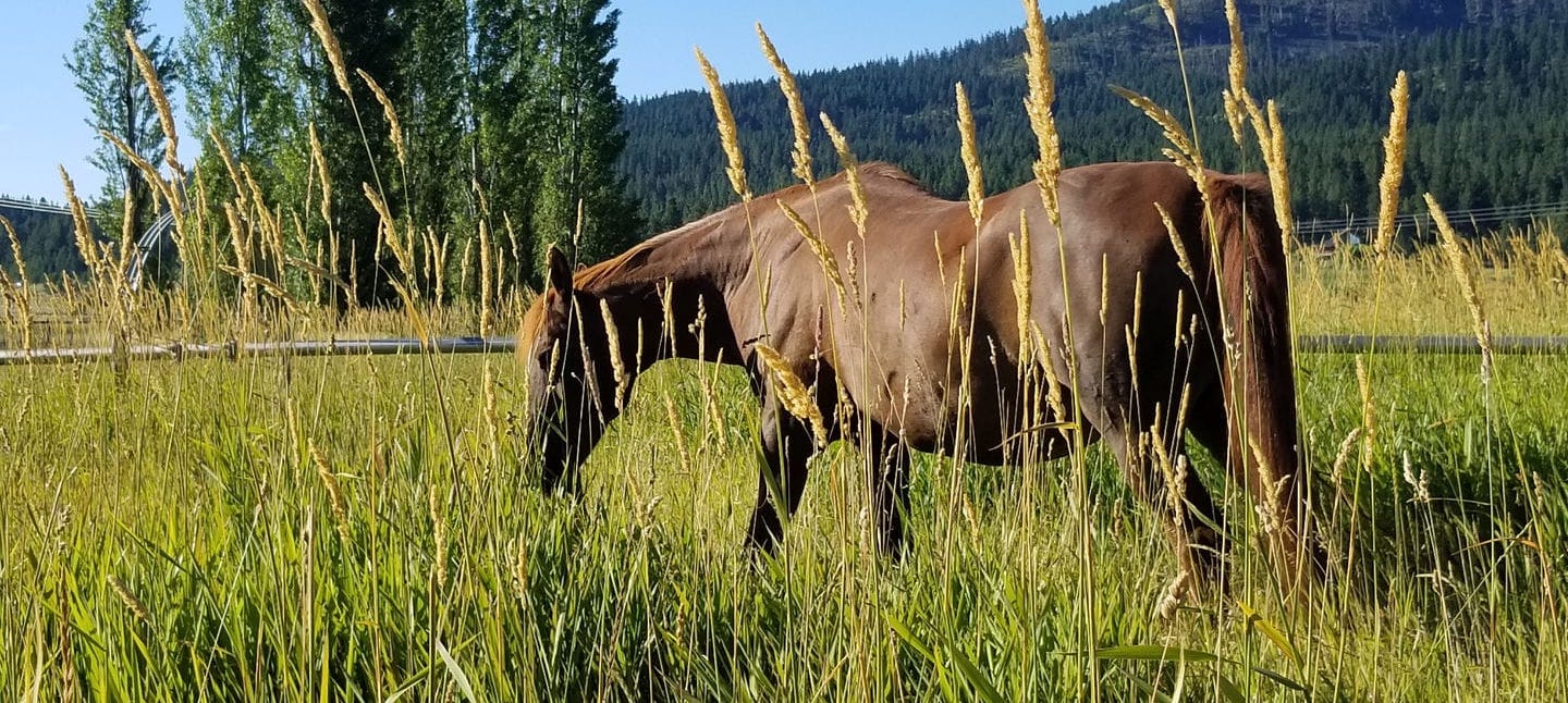 Awakenings Ministry - Image 9