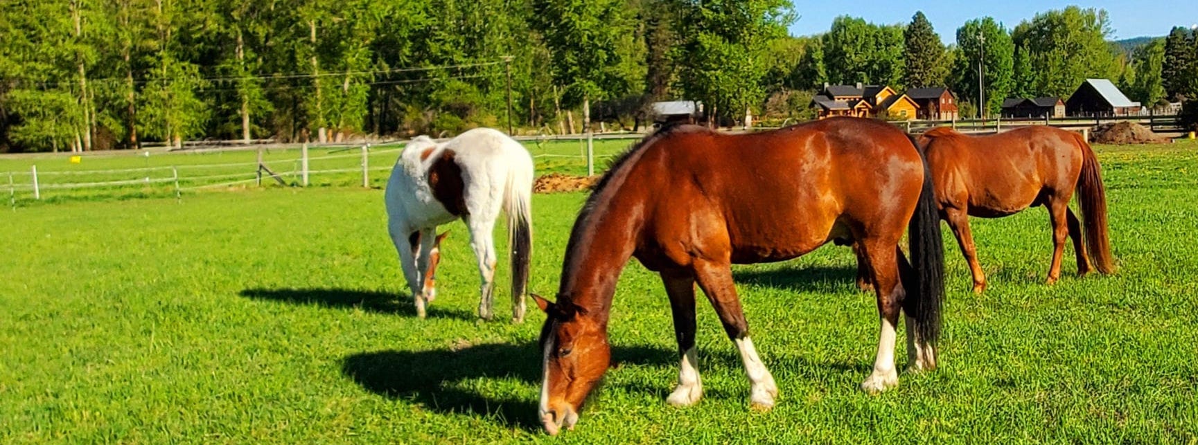 Awakenings Ministry - Image 10