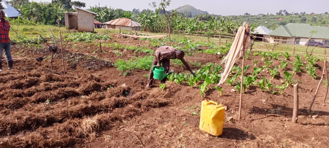 Called to Love Uganda - Image 3