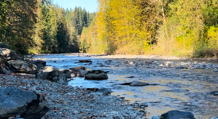 Journeyman NW - Image 3